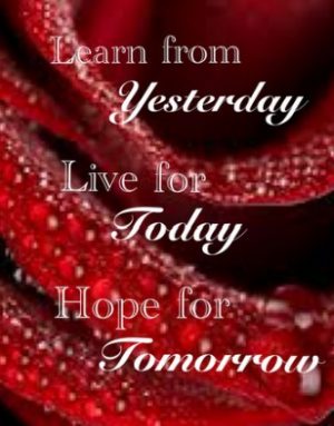 Learn Live Hope quotes