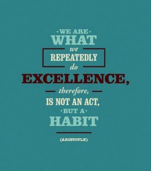 we are what we do - aristotle quotes