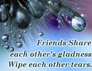 Friends Share Gladness - Quote Picture