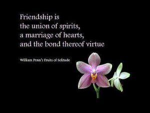 Friendship and marriage quote