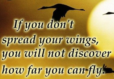 Spread Your Wings quote