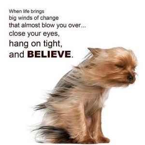 Beleive Quote Dog Picture
