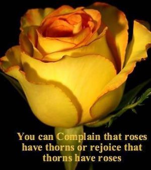 Roses thorns picture quote