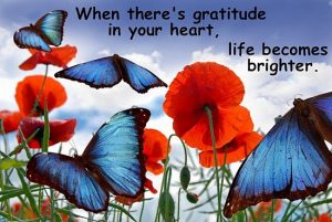 Gratitude Hearth Quote
