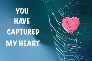 Heart in spider net