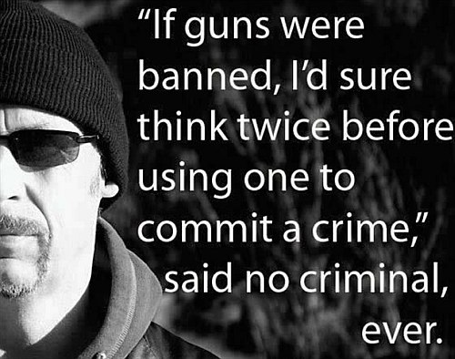 If Guns Were Banned