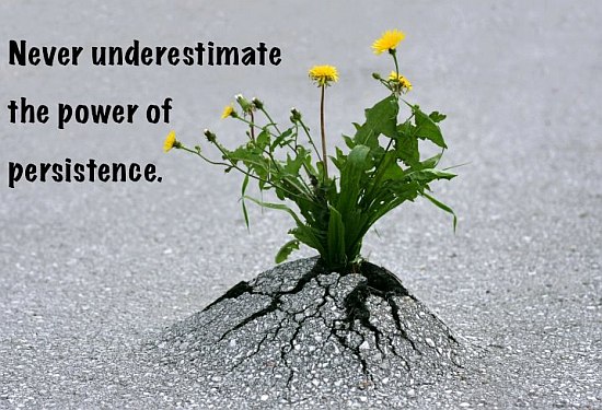 Never Underestimate The Power Of Persistence