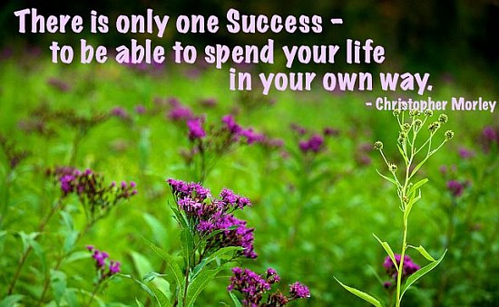 Success life quote