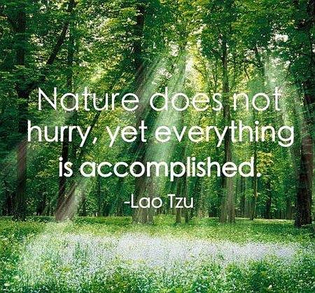 Nature Doesn't Hurry