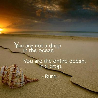 You Are Not A Drop In The Ocean
