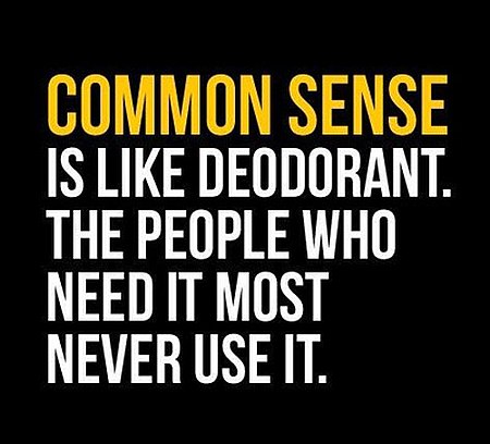 common sense quote
