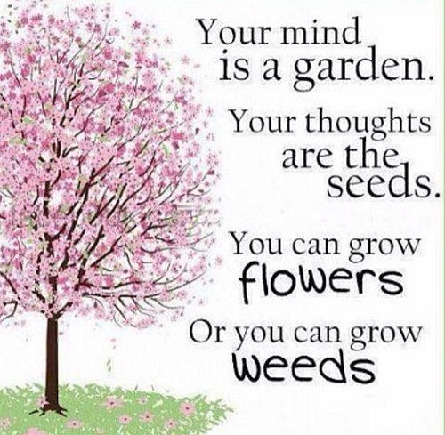 Flowers or weeds quote