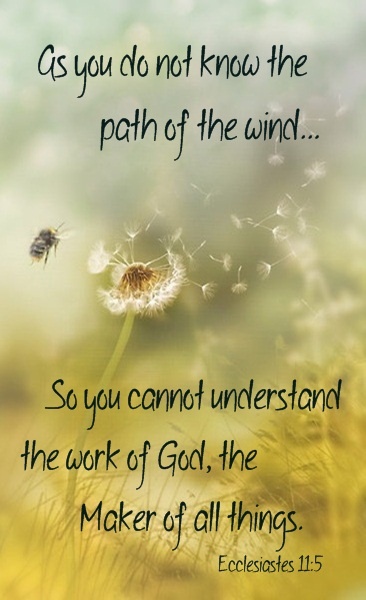know the path of the god quote