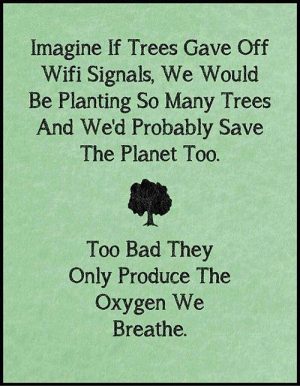 trees quote