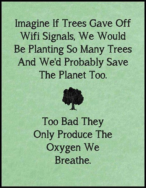 trees quote