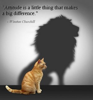 Attitude Quote image